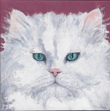 Longhaired Cat Pet Portrait